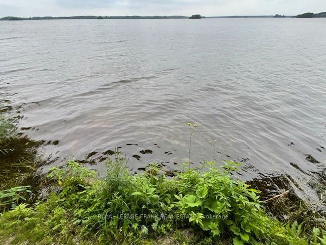 16 Caline Rd, House other with 3 bedrooms, 1 bathrooms and 3 parking in Curve Lake ON | Image 7