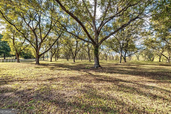 2066 Drew Allen Rd, House other with 4 bedrooms, 3 bathrooms and 3 parking in Williamson GA | Image 88