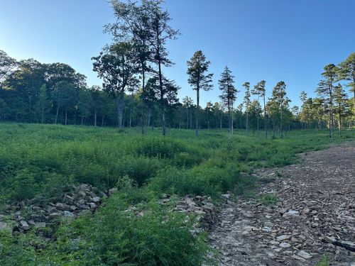 000 Private Road 4485 Road, Ozone, AR, 72854 | Card Image