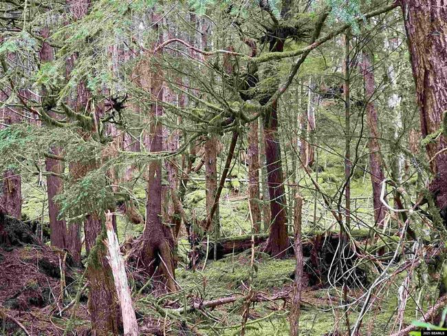 LOT-2-BLOCK-1 - NHN Legal Address Only, Home with 0 bedrooms, 0 bathrooms and null parking in Ketchikan AK | Image 11