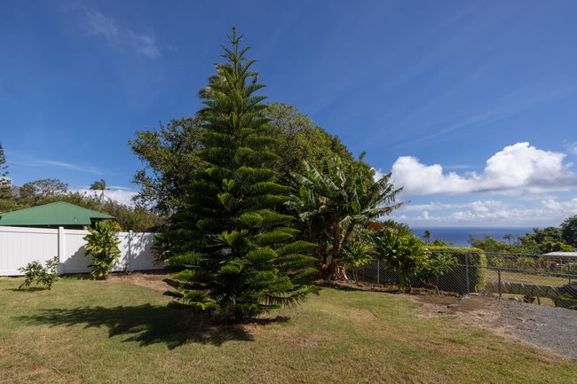 Nice ocean view from the back yard. | Image 19