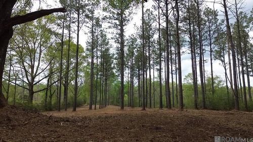 68434 Monroe Stevens Rd, Kentwood, LA, 70444 | Card Image