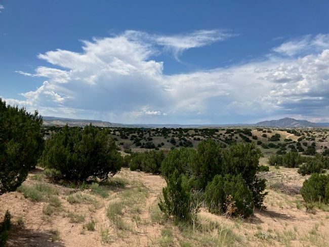 3 Private Drive 1613 B, Home with 0 bedrooms, 0 bathrooms and null parking in Medanales NM | Image 5