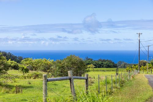 29-605 Chin Chuck Rd, HAKALAU, HI, 96710 | Card Image