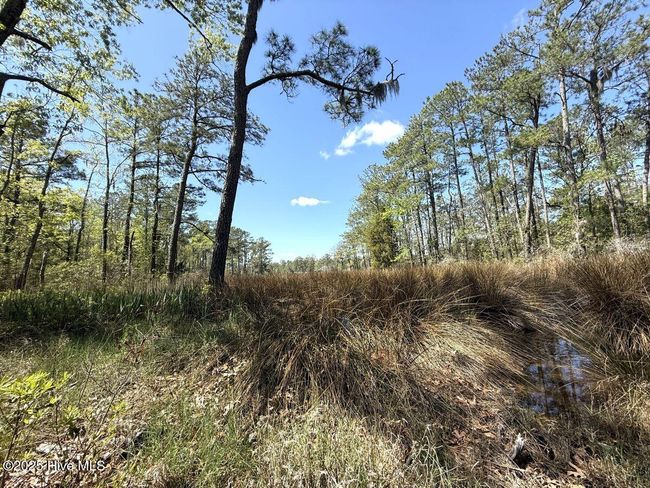 48 Sunset Point Rd, Home with 0 bedrooms, 0 bathrooms and null parking in Belhaven NC | Image 18