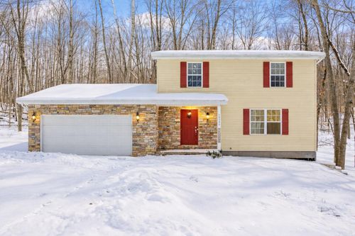 12095 Dubois Dr, Stanwood, MI, 49346-9606 | Card Image