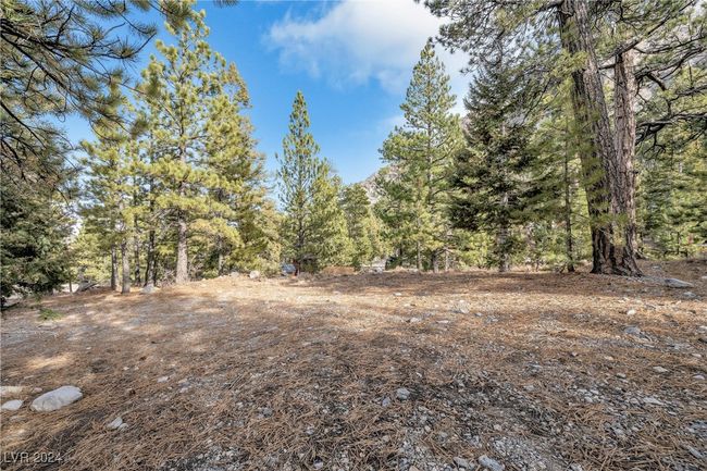 2194 Via Spes Nostra St, Home with 0 bedrooms, 0 bathrooms and null parking in Mount Charleston NV | Image 22