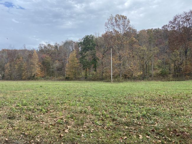 0 Mc Cord Hollow Rd, Home with 0 bedrooms, 0 bathrooms and null parking in Hohenwald TN | Image 10