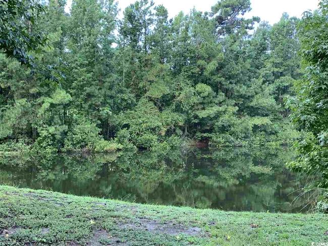 UNIT-902 - 4265 Villas Dr, Condo with 1 bedrooms, 1 bathrooms and null parking in Little River SC | Image 7