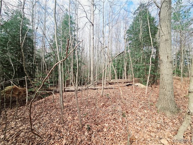 15601 Harrowgate Rd, Home with 0 bedrooms, 0 bathrooms and null parking in Chester VA | Image 6