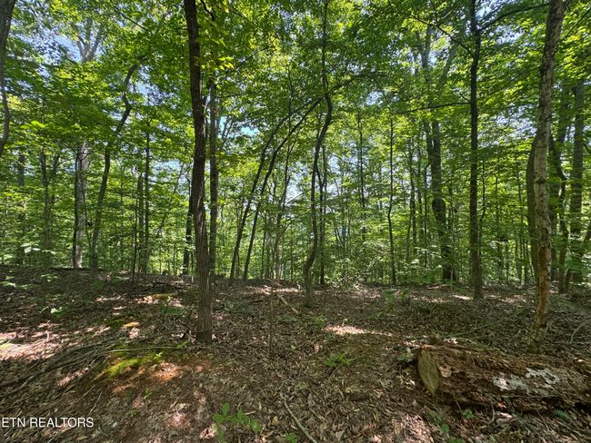 44 Ridgeland Dr, Home with 0 bedrooms, 0 bathrooms and null parking in Sharps Chapel TN | Image 23