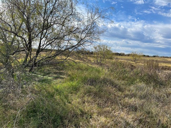 View near pond dam | Image 8