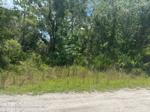 00 Lisle St, New Port Richey, FL, 34654 | Card Image