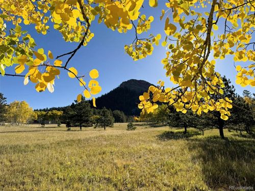 1965 Vagabond Creek Dr, Lake George, CO, 80827 | Card Image