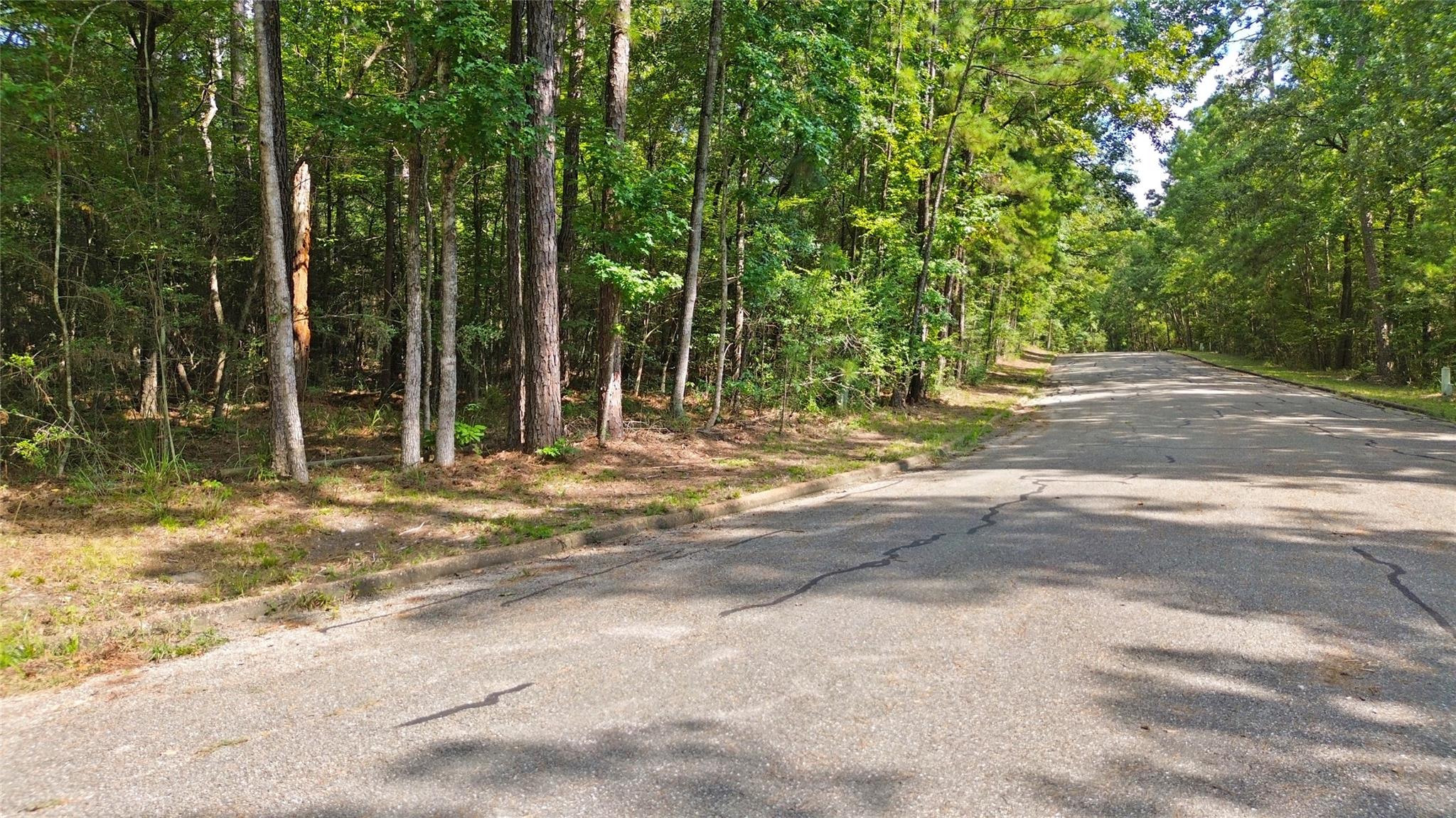 Land in Huntsville 3
