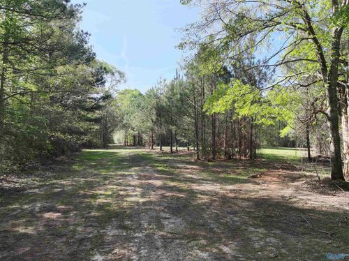 261 ACRES County Road 49, Tuskegee, AL, 36083 | Card Image