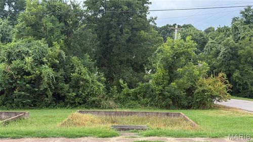 00 S Side Park Ave, Poplar Bluff, MO, 63901 | Card Image