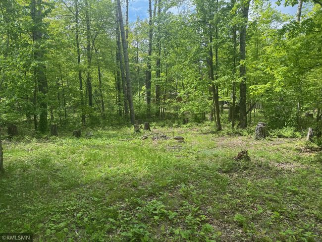 Adamek Lot - 5.jpeg | Image 7