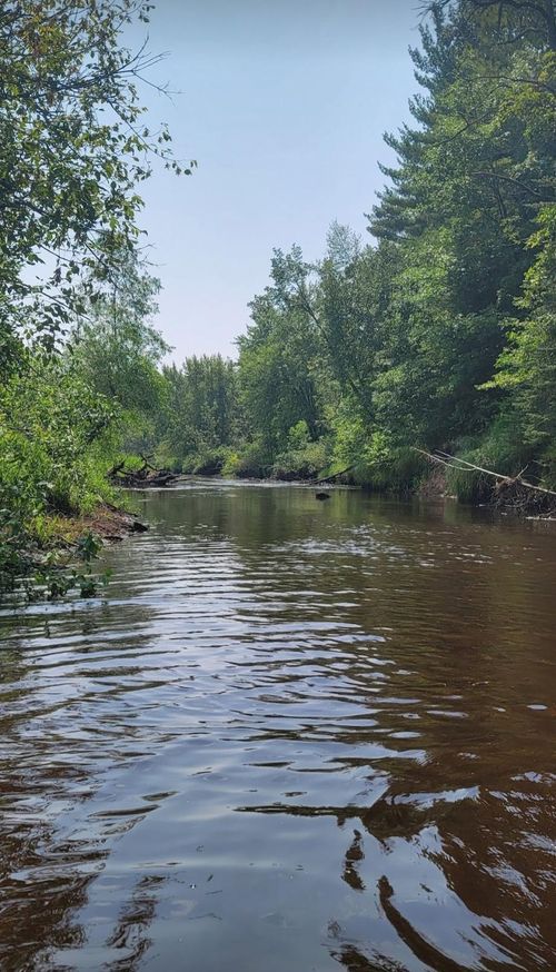 84335 Jack Pine Ln, Sturgeon Lake, MN, 55783-3896 | Card Image