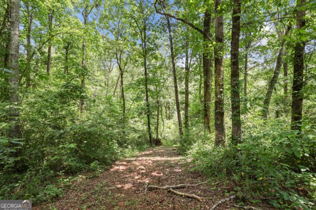 431 Grindstone Creek Dr, House other with 5 bedrooms, 4 bathrooms and null parking in Clarkesville GA | Image 46