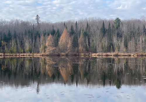 14463 Angel Crest Ln, Lakewood, WI, 54138-9577 | Card Image