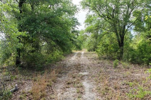 Vacant Ne Cedar Trail, Pinetta, FL, 32331 | Card Image