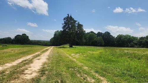 TBD (Tract 05) Whittington Homestead, Story, AR, 71970-9999 | Card Image