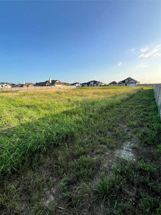 View of yard | Image 6