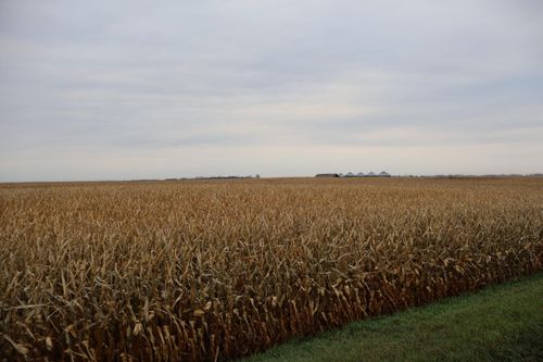 TBD 30th St Se, Tower City, ND, 58071 | Card Image