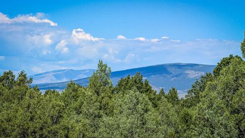 00 Forest Rd 9, Lama, NM, 87556 | Card Image