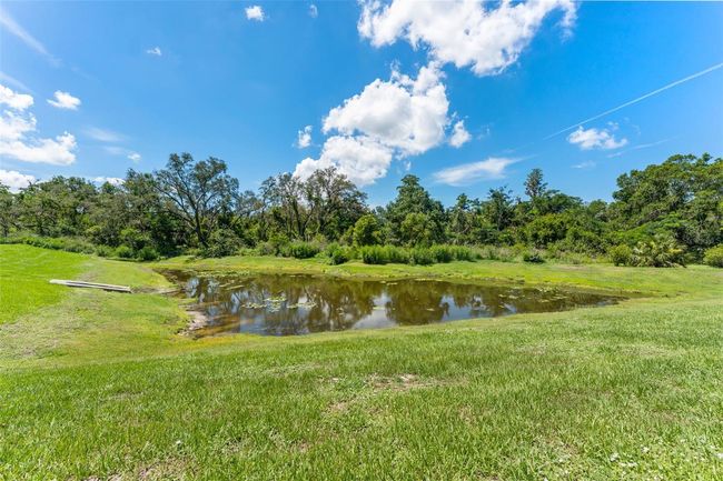 Pond views | Image 46