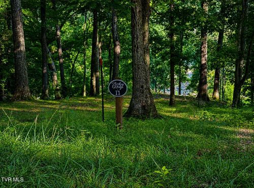 2297 Turkey Ridge Ln, Piney Flats, TN, 37686 | Card Image