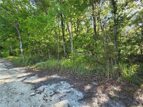 0000 Se 42nd Ct, BELLEVIEW, FL, 34420 | Card Image