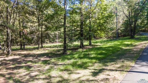 lot-74-andamp-75-TBD Private Road 7220, Jefferson, TX, 75657 | Card Image
