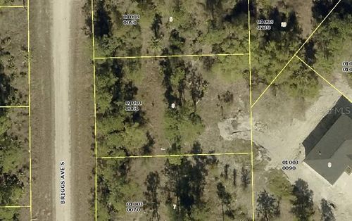 315 Briggs Avenue S, Lehigh Acres, FL, 33974 | Card Image