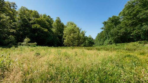 820 Shooting Frk, Campton, KY, 41301 | Card Image