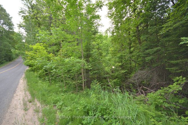 0 Harburn Rd, Home with 0 bedrooms, 0 bathrooms and null parking in Haliburton ON | Image 14