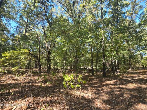 10177 Parks Place Road, Como, MS, 38619 | Card Image