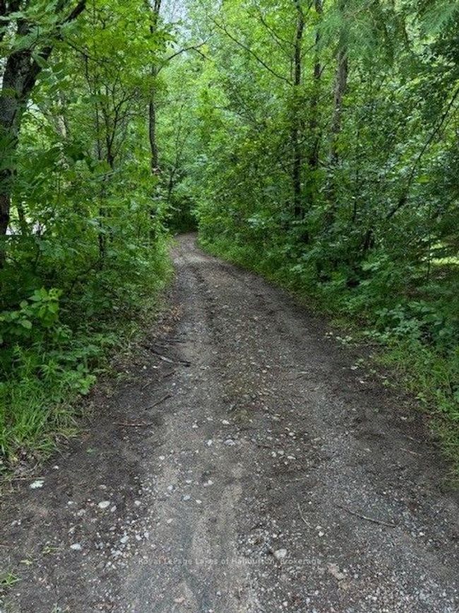 LOT 70 25 Th Line Rd, Home with 0 bedrooms, 0 bathrooms and null parking in Algonquin Highlands ON | Image 8