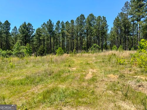 0 George Smith Road, Talbotton, GA, 31827 | Card Image