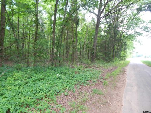 TBD 3.07 ACRE Woodchuck Rd., Pittsburg, TX, 75686 | Card Image