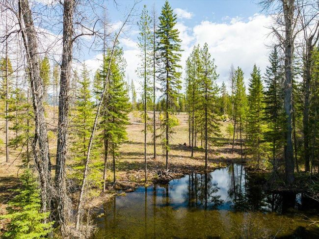 Pond on the property | Image 35