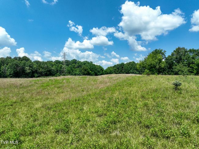 133 Devault Bridge Rd, Home with 0 bedrooms, 0 bathrooms and null parking in Piney Flats TN | Image 5