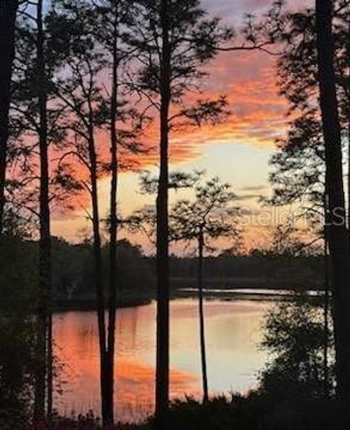 14830 Se 61st Street Rd, Ocklawaha, FL, 32179-2772 | Card Image