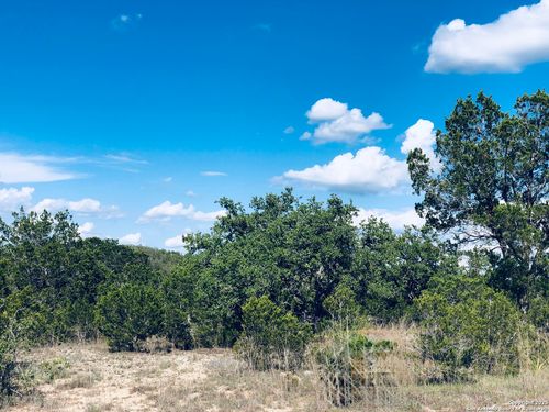 1020 Cliff Cir, Spring Branch, TX, 78070 | Card Image