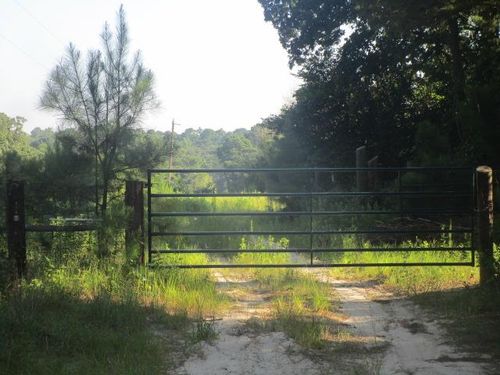 386 Private Road 6145, Grapeland, TX, 75844-7254 | Card Image