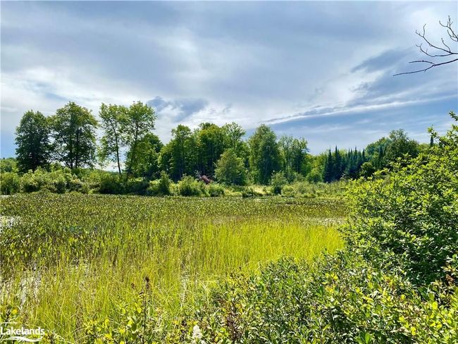 22-A Maple Dr, Home with 0 bedrooms, 0 bathrooms and null parking in Loring ON | Image 20