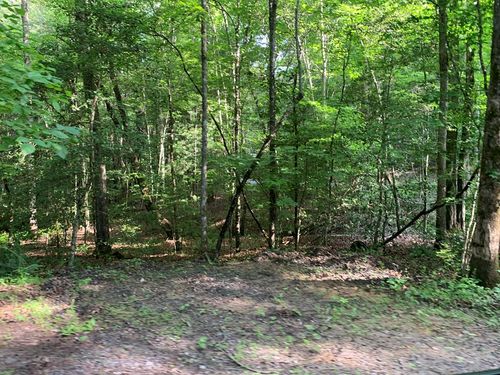 Lot 57 Rainy Farm Road, Murphy, NC, 28906 | Card Image
