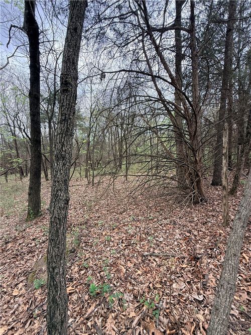 Lot 4 County Road 906, Green Forest, AR, 72638-3454 | Card Image