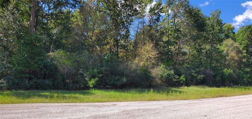 TBD Cougar Ct, Huntsville, TX, 77340-1119 | Card Image